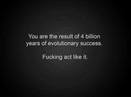 Know's tweet image. At least try.