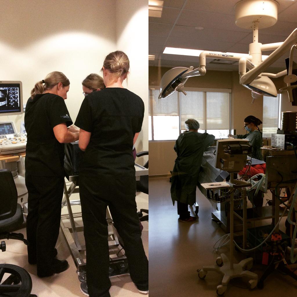 GuardianVet's tweet photo. Our Internal Medicine and Surgery departments hard at work at 6pm on a Monday evening. #yegvet #yeg #guardianvet http://t.co/73wMjSco5v
