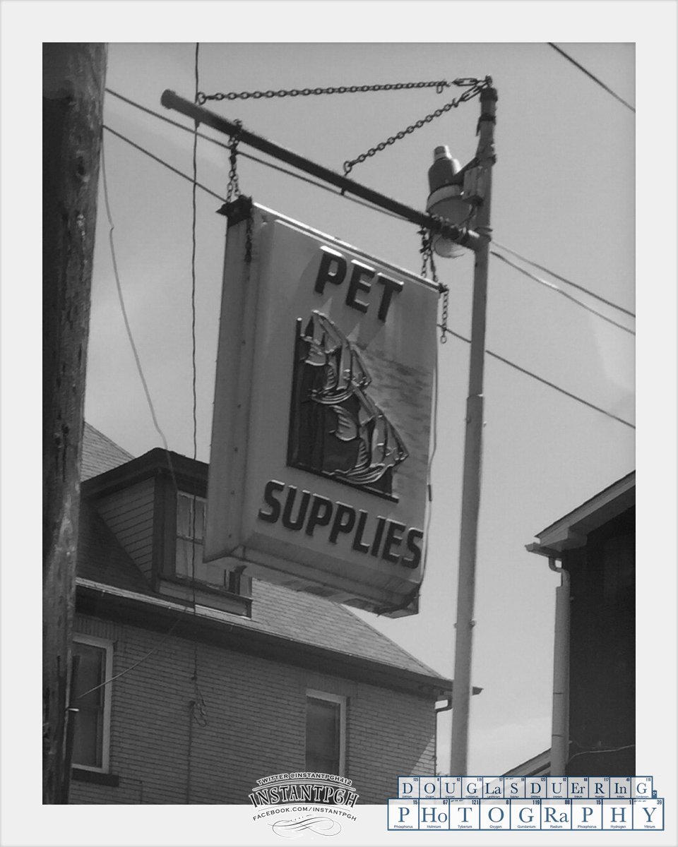 InstantPgh412's tweet photo. Pet Supplies. Fujifilm fp3000B Kodak masterview 4x5 #film #Pittsburgh @vstpgh @Kodak #Kodak @Polaroid back http://t.co/0WTMzrbsO8