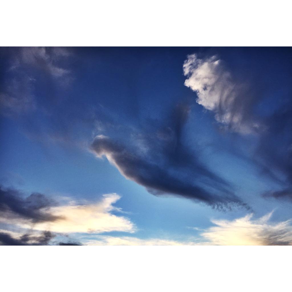 karennorth555's tweet image. I see hummingbird, 2 faces top left corner, another face laughing @ hummingbird whale @ bottom 😁 #imaginationrunwild