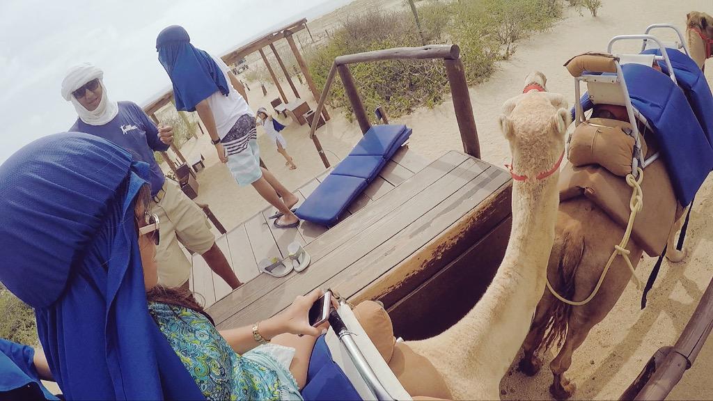 MezanoTania's tweet photo. 🐪🌞 #S2015 #mysummer http://t.co/7VpOjrxurA
