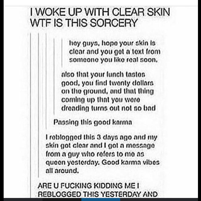 Random102Follow's tweet image. 