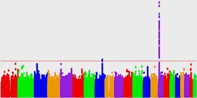 RareDR's tweet image. @NINDS #NIH The Genetics of Huntington’s Disease is More Than the Huntingtin Gene raredr.com/news/genetics-…