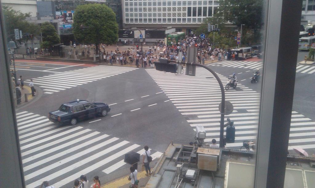 Patrol 2 visit the world famous crossing on our final morning in Japan <a href="/ukcontingent/">UK Contingent 🇬🇧⚜️</a> <a href="/CYScouts/">Central Yorkshire Scouts</a> <a href="/GirlguidingNEE/">Girlguiding North East</a>