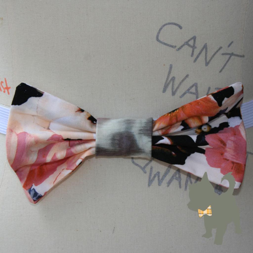 hautedogbowties's tweet photo. In the "Neil" be as stylish as his character Barney!  #HauteDog #bowtie #forsale #dapper #nph #howimetyourmother #dog http://t.co/krAmM6ftTl