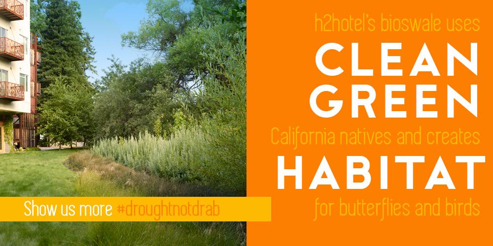 Fellow <a href="/BlueBizCouncil/">Blue Biz Council</a> member <a href="/h2healdsburg/">h2hotel</a> stepping up to conserve water in style #DroughtNotDrab <a href="/scribewinery/">Scribe Winery</a>