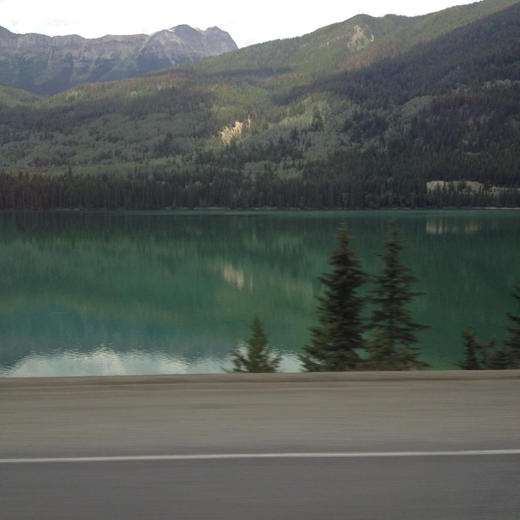 BreanneJanczyn's tweet photo. #incalgary http://t.co/PTWa8wSQrS