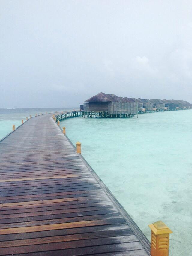 DouzRaycheang's tweet photo. Woo http://t.co/81lsXJHiup