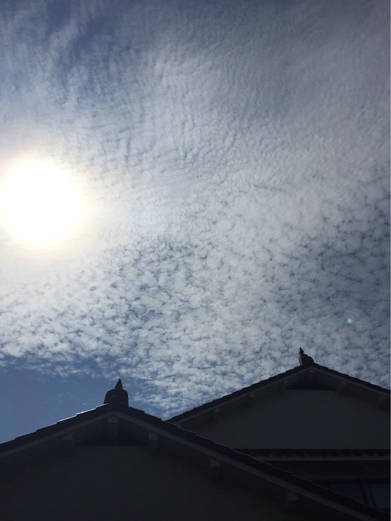 San0915U's tweet photo. 空がやばい http://t.co/aHmz56drrJ