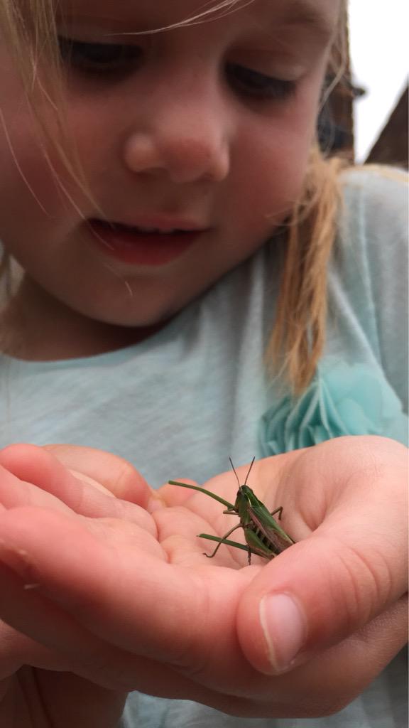 MattDoogue's tweet image. This my friends makes it all worth while,A bond that will last a lifetime @ChrisGPackham @bugboybaker @JaneGoodallCAN