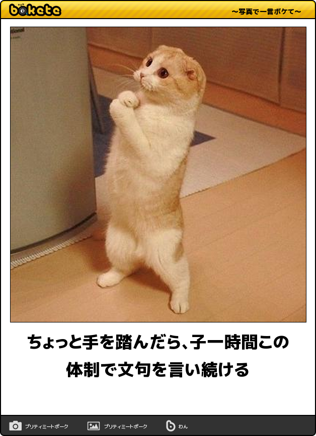 ボケて Bokete 公式 En Twitter ちょっと手を踏んだら 子一時間この体制で文句を言い続ける ボケて Http T Co Zq8ty2juud Http T Co H1ogsf4jve