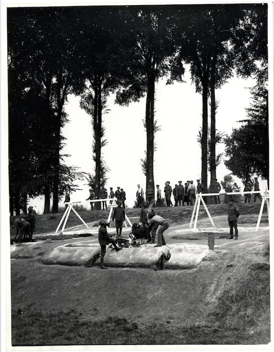 25 jul 1915: Slaughtering goats for indian troops, Aire, France #FWW #WW1 #WW1Centenary
Credits: <a href="/britishlibrary/">British Library</a>