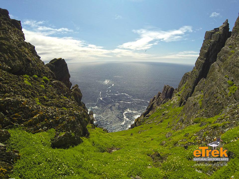 gokerry2018 tweet picture
