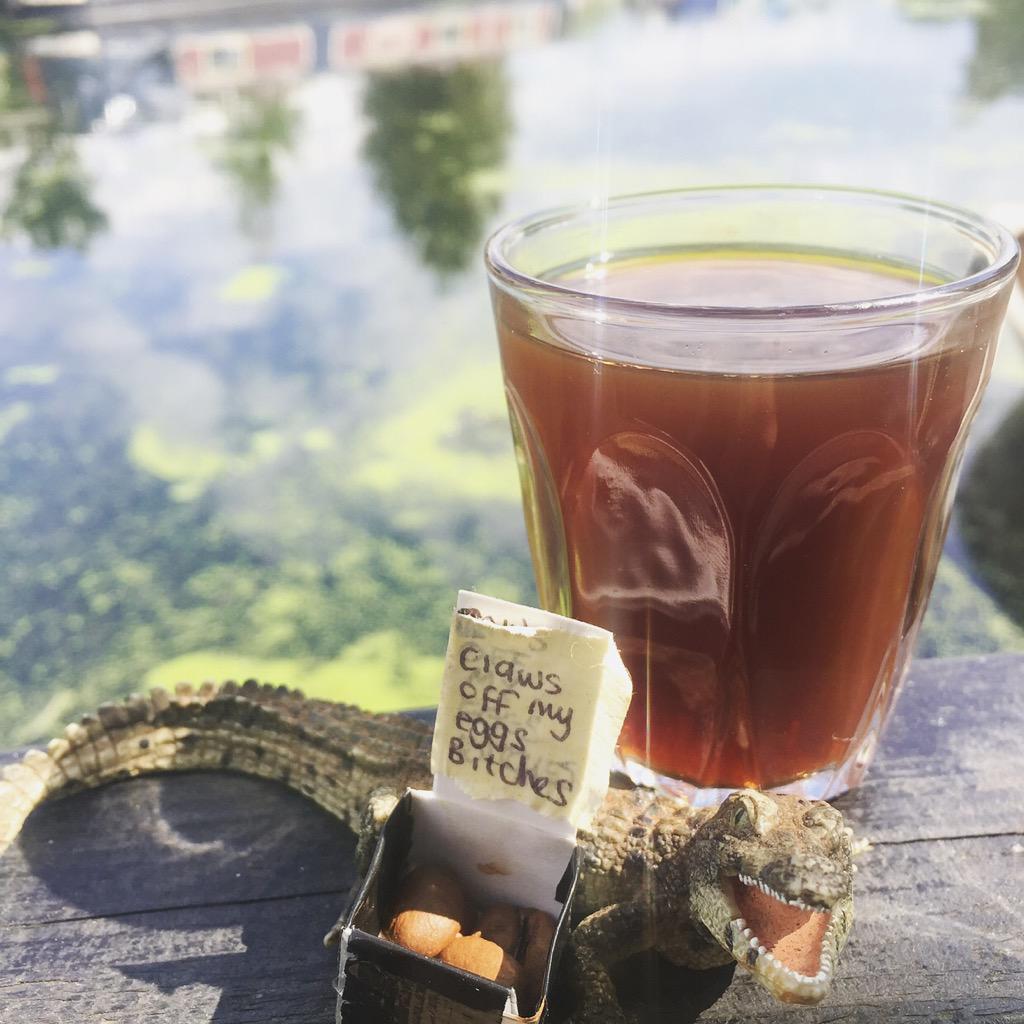 countercafe's tweet image. Crocodile-protected coffee beans roasted in @counterroastery. This filter is yours for £100 &amp;amp; a couple of scratches.
