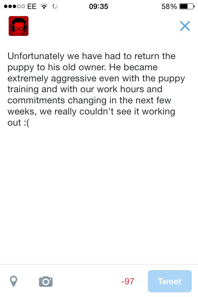 Samuleth_'s tweet photo. Just an update on the puppy.. http://t.co/ZeMdtXfpXa