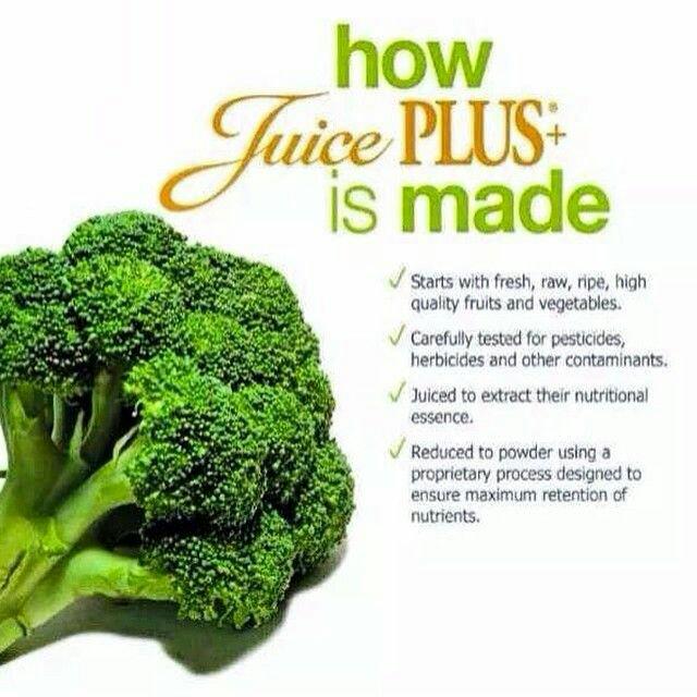 EllieHendrie17's tweet image. PM for more info #health #nutrition #121support #fruit #veg #juiceplus #NoGmo #Nochemicals #wholefood #nextbestthing