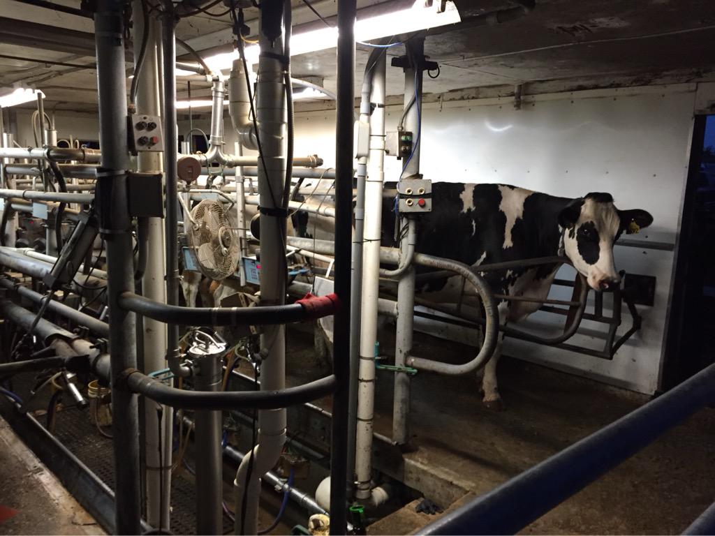 Ryan Kristafer tweet media