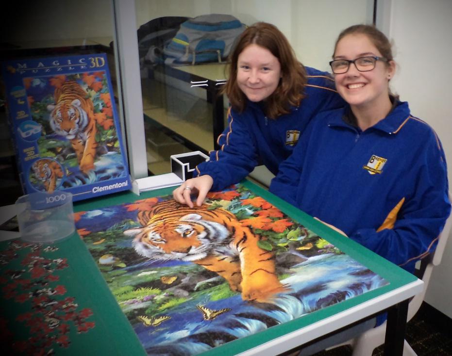 BremerSHS's tweet photo. Update from the Bremer library....the finished 3D tiger jigsaw!! http://t.co/8DZPV1rDfP