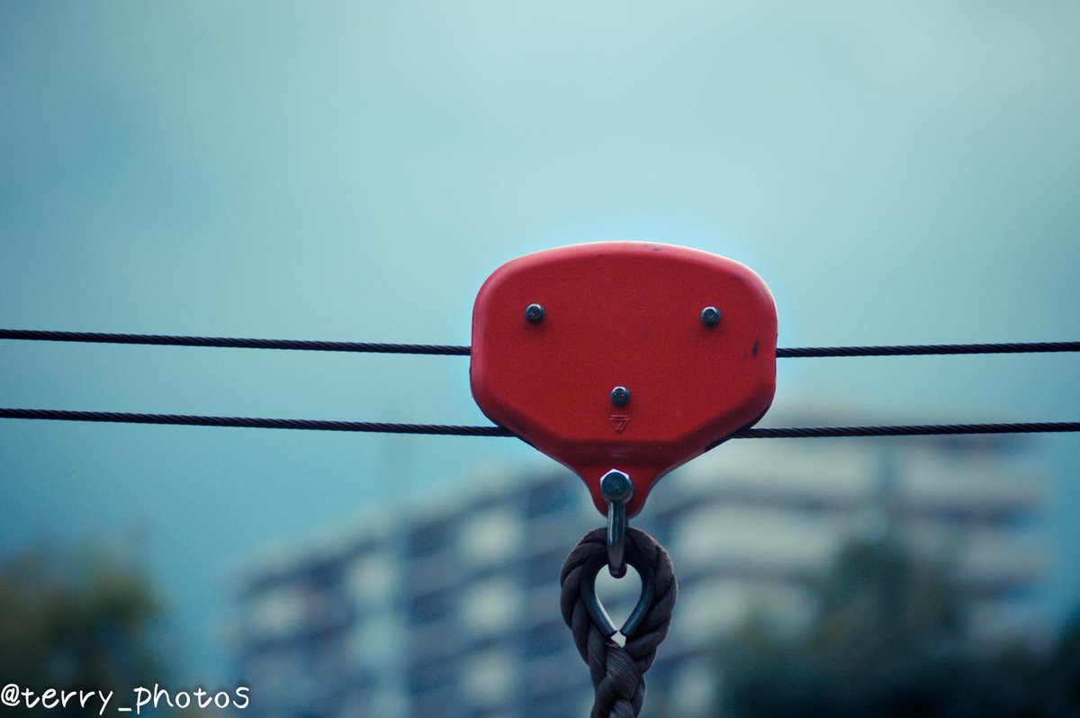 terry_photos's tweet photo. #FaceInPlaces
#ファインダー越しの私の世界
#写真でつながるフォロー祭り
#photography
#顔 http://t.co/tHqZ39VknN