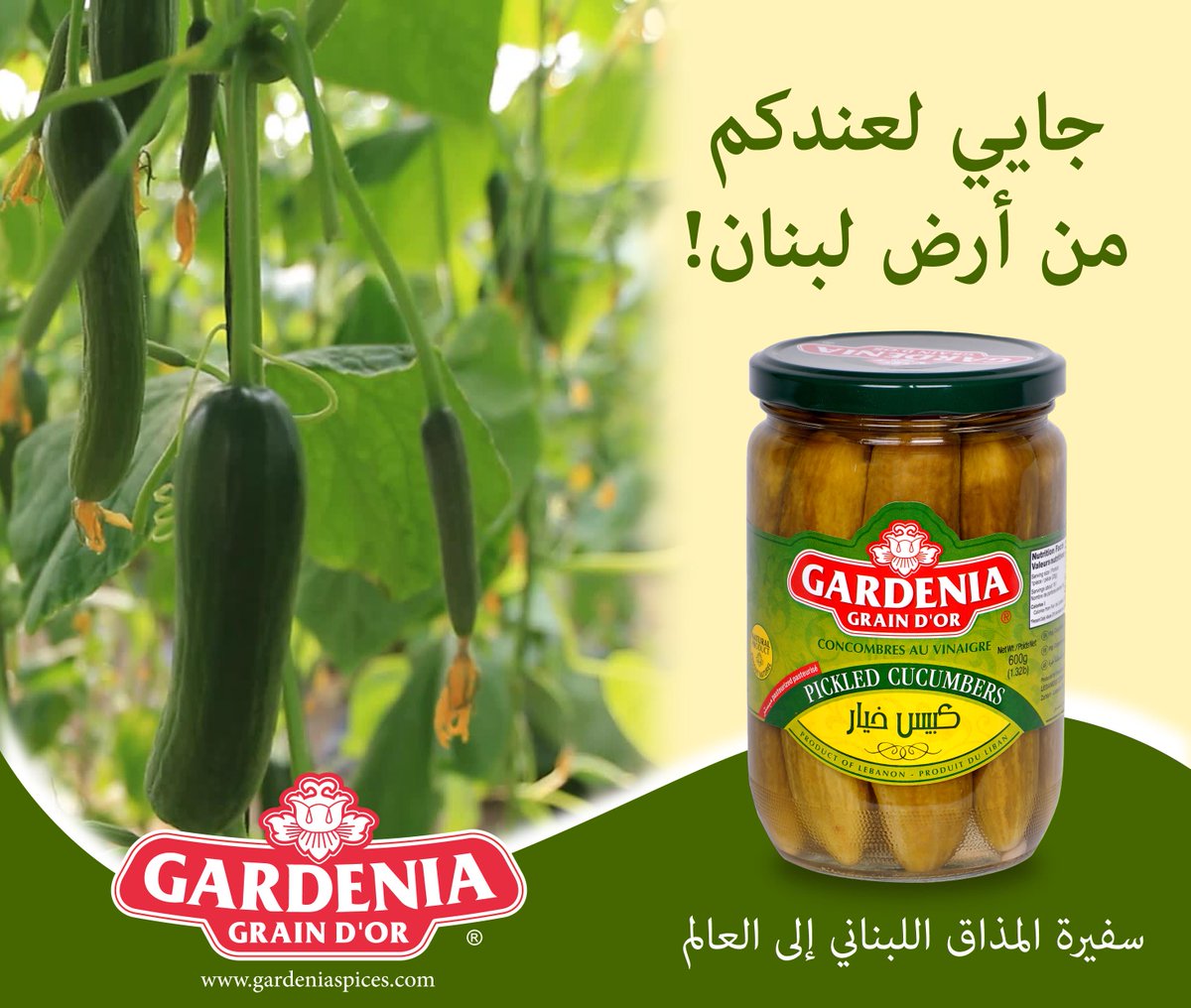 Gardenia Grain D'Or (Gardenia_Food) Twitter