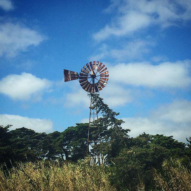 #windmill #roseofthewinds #bicesse #portugal #beautifulday #bluesky #loveit #iphone6plus #… ift.tt/1IC1vKD