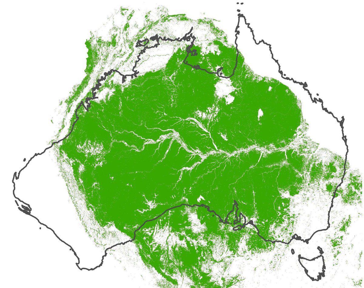 Geoawesomeness Geoawesomemapoftheday Comparison Of A Size Of Amazon Rainforest And Australia Http T Co Pmtscm8apb