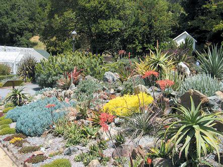 sambehrens's tweet photo. Great Aussie native #bestgardens http://t.co/8Za6aTe0Th
