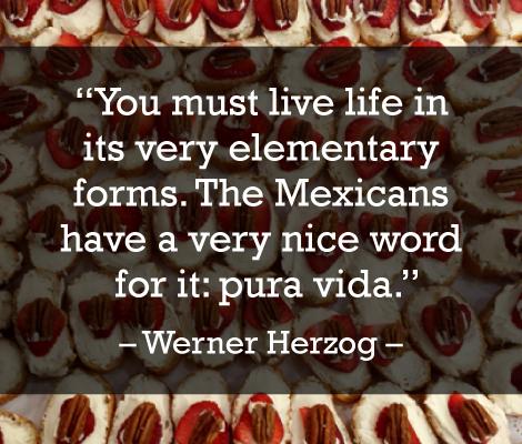 saboresmexicoft's tweet photo. "You must live life in its very elementary forms. The Mexicans have a very nice word for it: pura vida." – W. Herzog http://t.co/937SRyNQFx