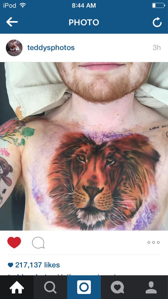 Kayla_Elaine98's tweet photo. 😍😍😍 I used to be obsessed with lions haha @edsheeran I love this! It's big but I love it. #edphotograph http://t.co/BCzsmfugsp