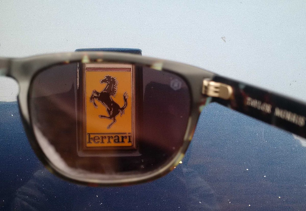 #LifeThroughTheLens #Polistasclothing 
Great lenses on these Taylor Morris sunglasses!