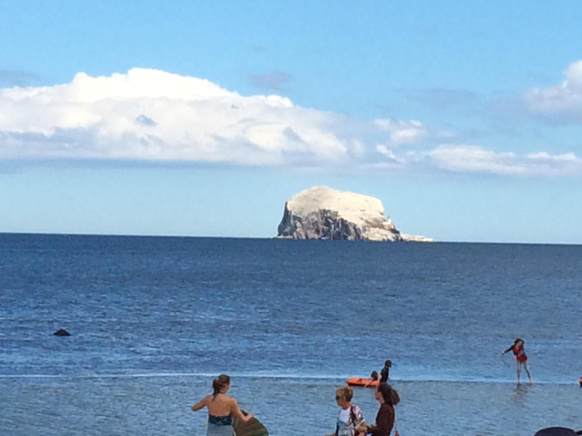 Bass Rock in all its glory. Summer has come to Scotland at last