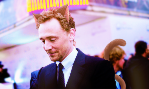 yanwansky's tweet photo. “@ekdark666: 😻 #Lokitty #TomKitty #GingerTom #RavenTom (credits to all artists) http://t.co/ULqrzeJC3f”🙈😻😻