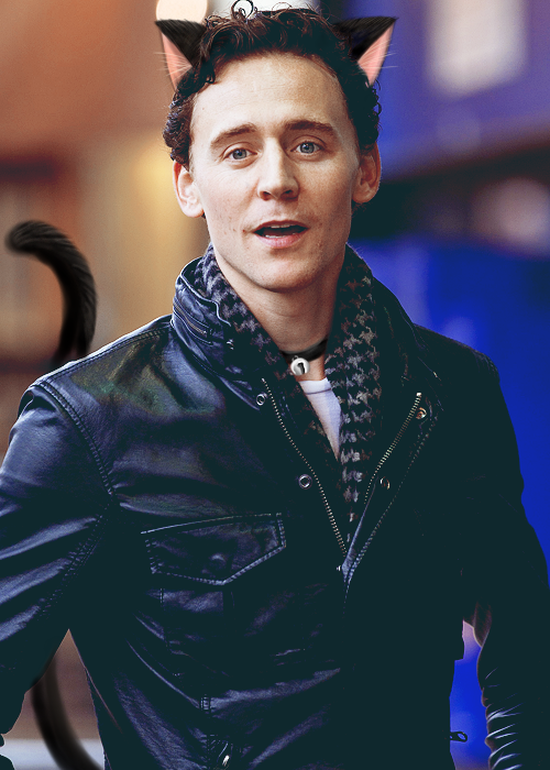 yanwansky's tweet photo. “@ekdark666: 😻 #Lokitty #TomKitty #GingerTom #RavenTom (credits to all artists) http://t.co/ULqrzeJC3f”🙈😻😻