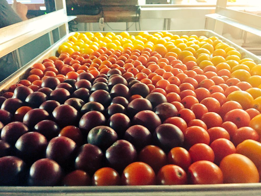 Love this time of year #tomatoes