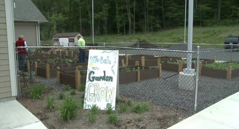 WNEPPowerToSave's tweet image. Power to Save: Garden Helps Out Food Pantry link.wnep.com/1K6eH8K Spnsd by: @CabotOG