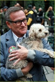 MyHappyPaws's tweet photo. "You never soar so high as when you stoop down to help a child or an animal" Jewish Proverb
#RobinWilliams #HappyPaws http://t.co/lOJuXJt3KY