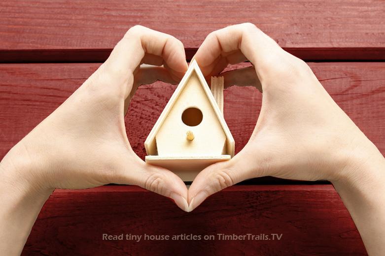 Why we need #TinyHouse building codes! GO TO &gt;&gt; TimberTrails.TV/Tiny-House-Bui… | #TinyHouseNation #TinyHouseTV #architecture
