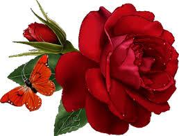 rosalbasaluv's tweet photo. @YolandaVelzque3 Paseadora te extrañe mucho http://t.co/GB4Lpo0de8