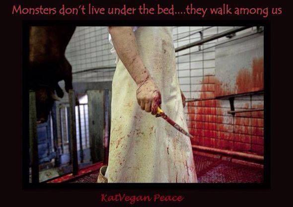 artveganism's tweet photo. Animal cruelty laws that protect dogs and cats specifically exclude farmed animals from most protection. #farm365 http://t.co/lGtKExkJIY