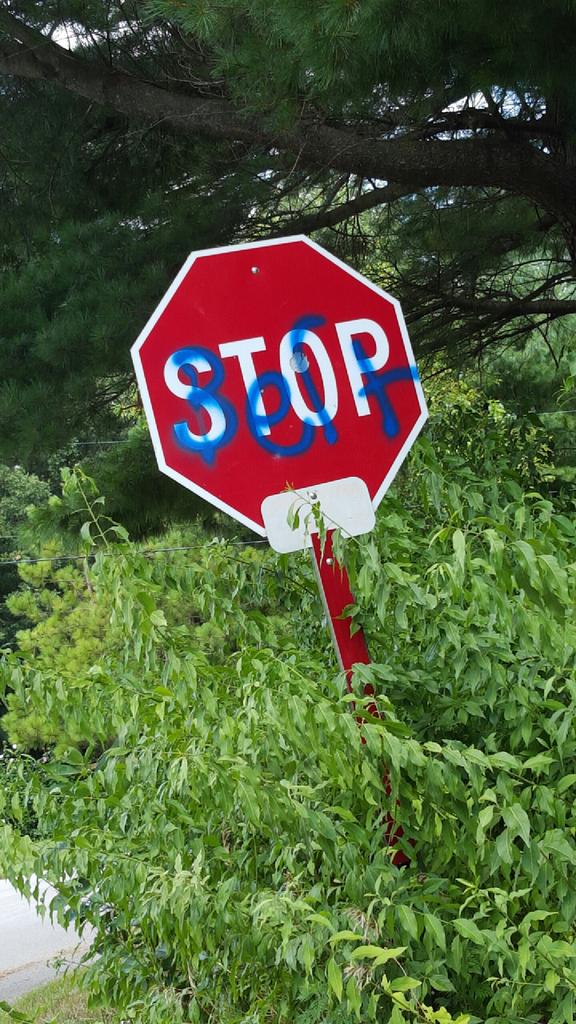 shindle11's tweet photo. #stopbert @britney_hoffman http://t.co/k0CuWATVHJ