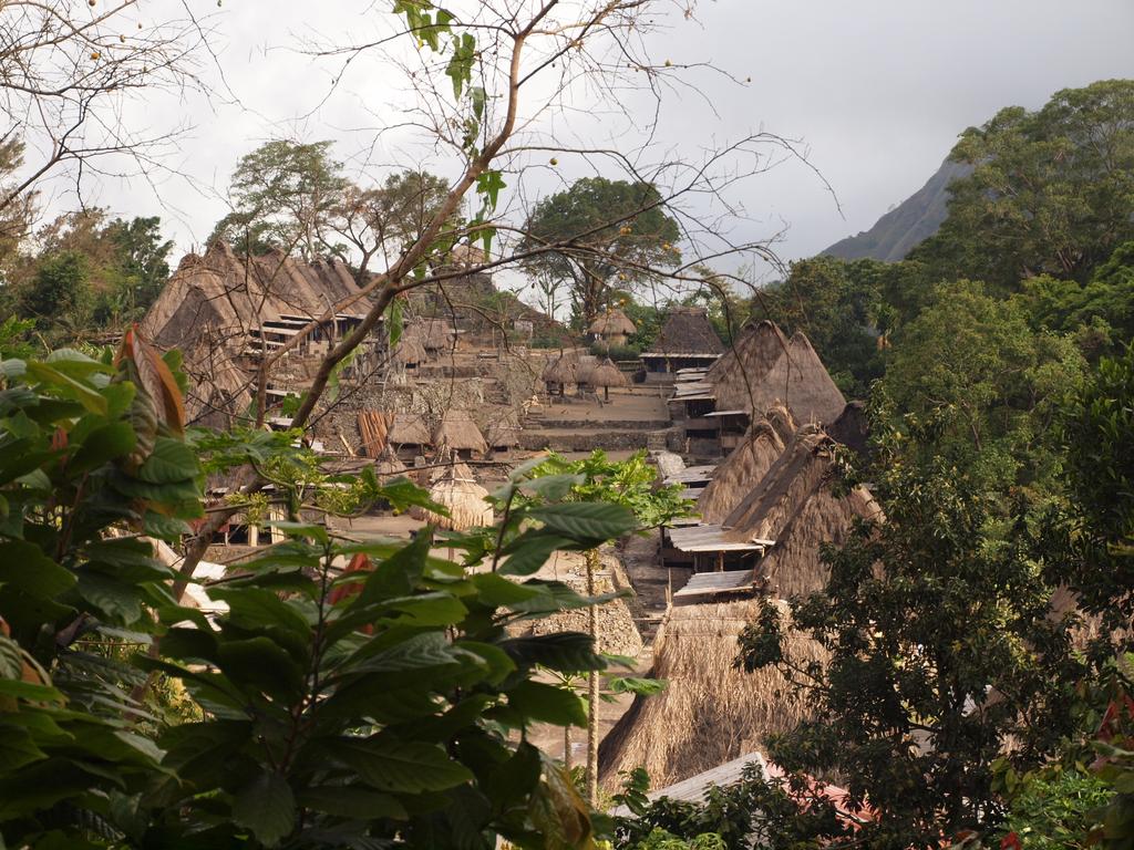 BandungtripID's tweet photo. Ruteng / Bajawa - Flores Island. Here’s the cultural heart of #Flores. Bajawa is an excellent base for village trips. http://t.co/4Aq6T3rNMX