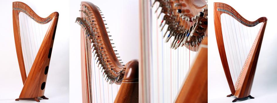 Harp Wiki tweet media