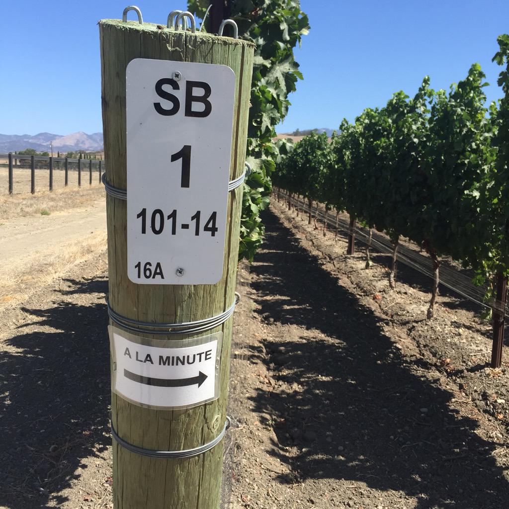 Savage tweet media