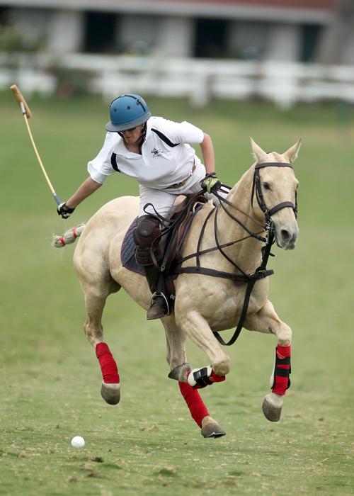#poloplayer by Megan Judge calpolyagbusiness.wordpress.com/2015/08/11/pol…