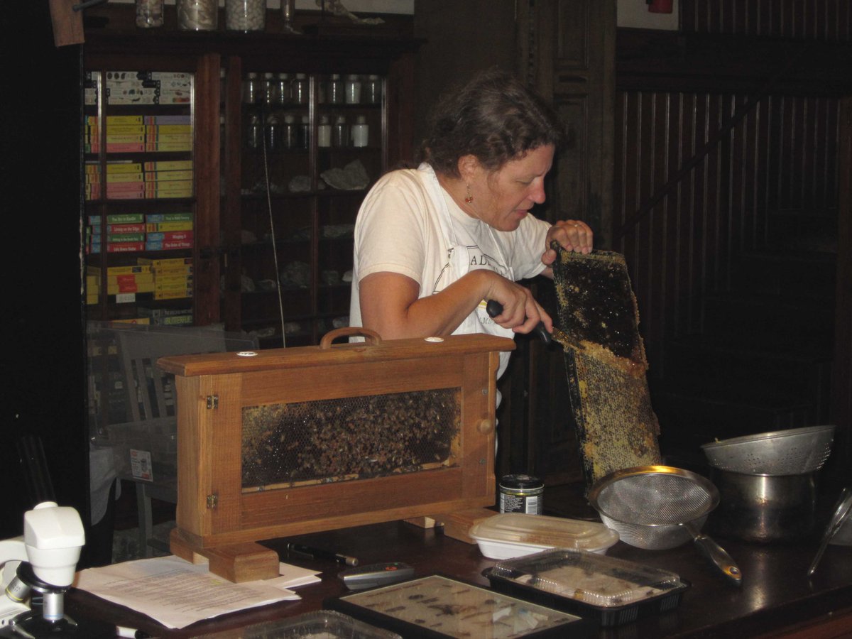 PhillyHoneyFest's tweet photo. Yummm... fresh honey! Join us September 11-13 to learn all about bees and purchase local honey from @PhillyBeeGuild! http://t.co/y5uftLefSO
