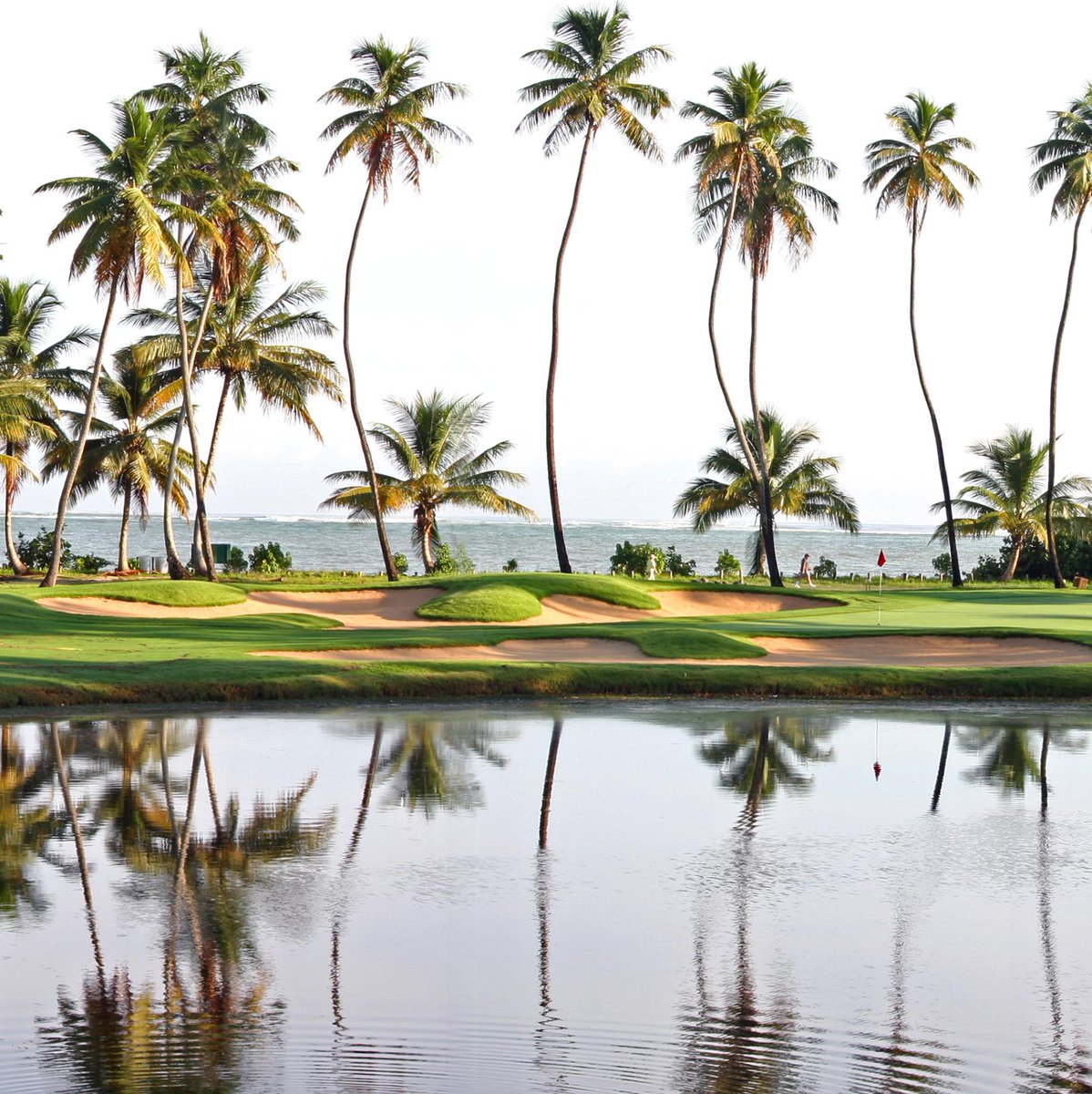 TPC Dorado Beach (TPCDoradoBeach) Twitter