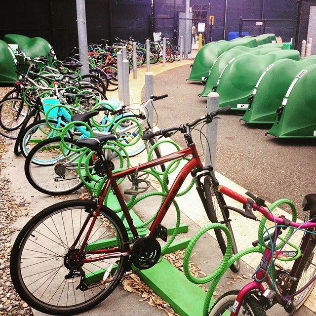 The Bicycle Tree on Twitter "The DisneylandResort provides great bike