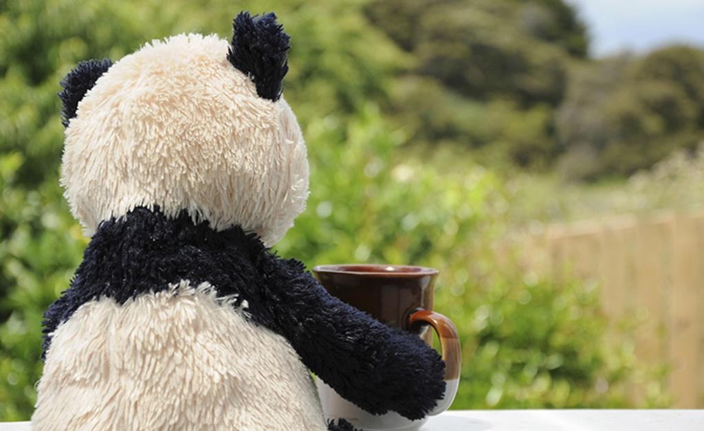 Upworthy's tweet photo. There's a travel agency that will take your stuffed animals on vacation. http://t.co/0HfYHzmDto http://t.co/YSyrOWjlBS