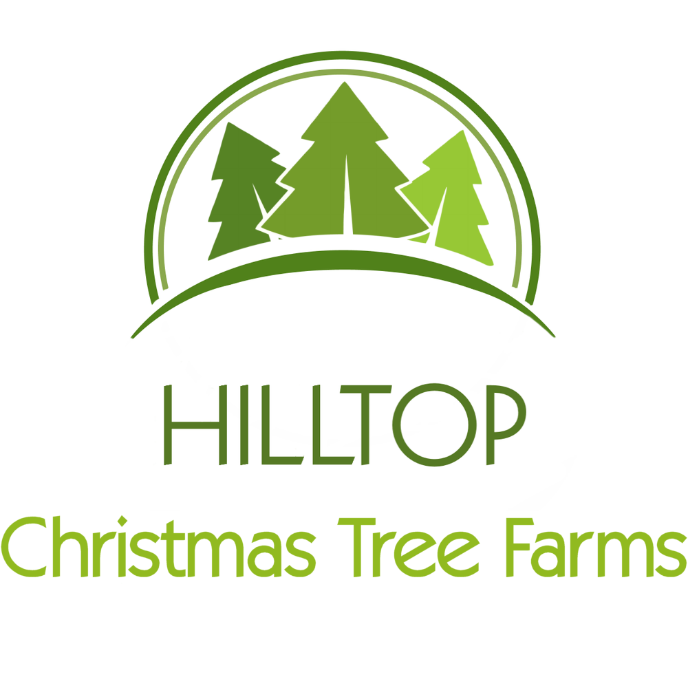 ChristmasNow's tweet photo. Welcome to sponsor Hilltop Christmas Tree Farms! Christmas Tree Delivery From Hilltop: http://t.co/e9cL3bf9VS http://t.co/Qy4j32aqtI