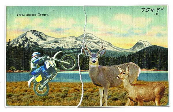 sourceweekly's tweet photo. Tomorrow #inBend, scientists + conservations talk about threats to local mule deer habitat. http://t.co/IegIZjylOG http://t.co/d2UkM0ZV3i